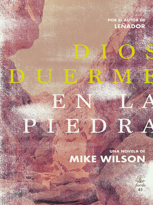 cover image of Dios duerme en la piedra